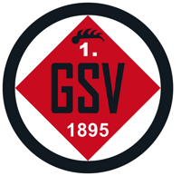 1. Göppinger SV - Türkischer SV Singen